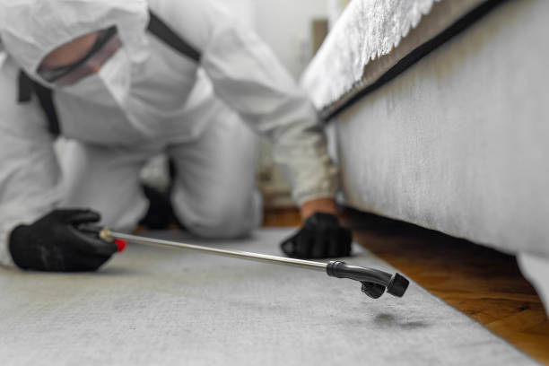 Professional Bed Bug Control technician working in Lincoln, AL