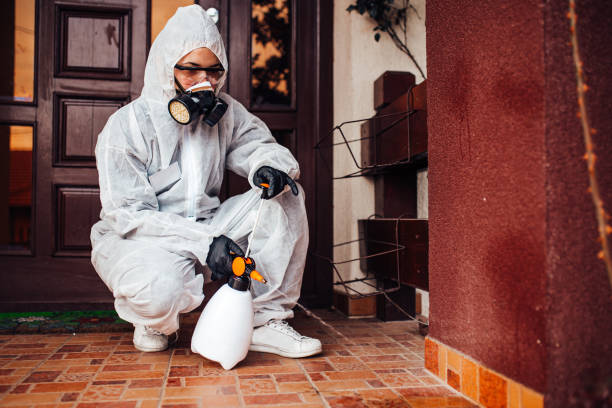 Reliable Bed Bug Control contractor in Lincoln, AL by Nex Pest Control